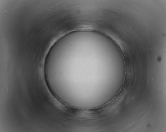 X0000103971475200809261823