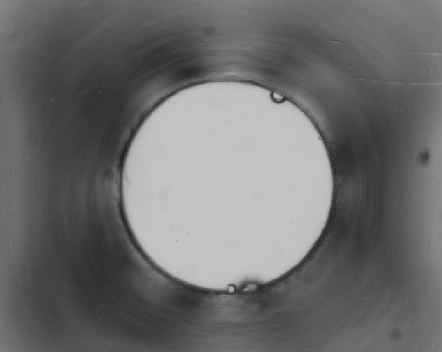 X0000103971476200809261823