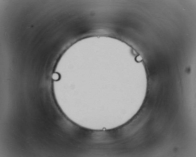 X0000103971477200809261823