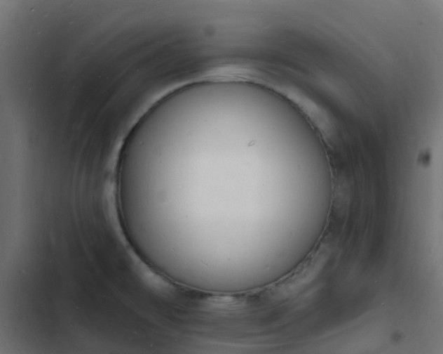 X0000103971478200809261823