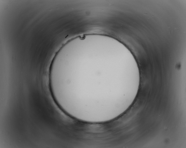 X0000103971479200809261823