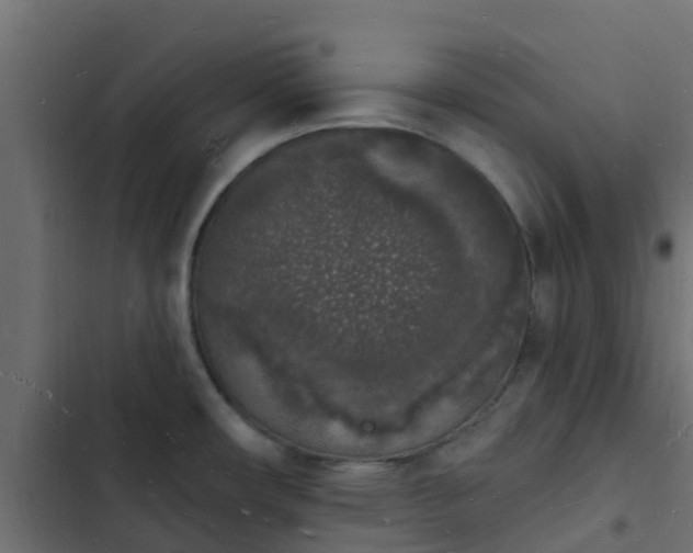 X0000103971482200809261823