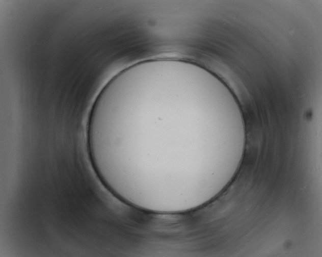 X0000103971483200809261823