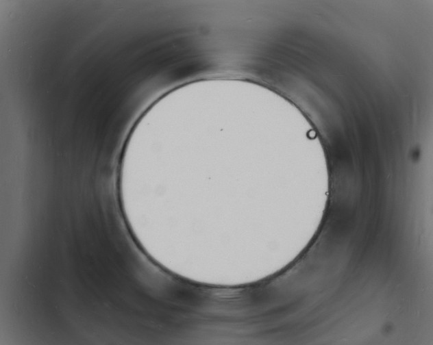 X0000103971484200809261823