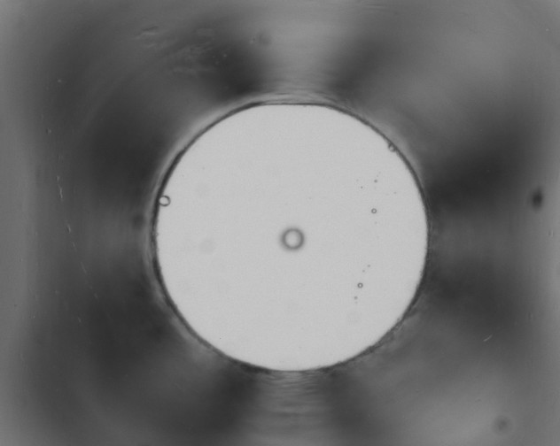 X0000103971485200809261823