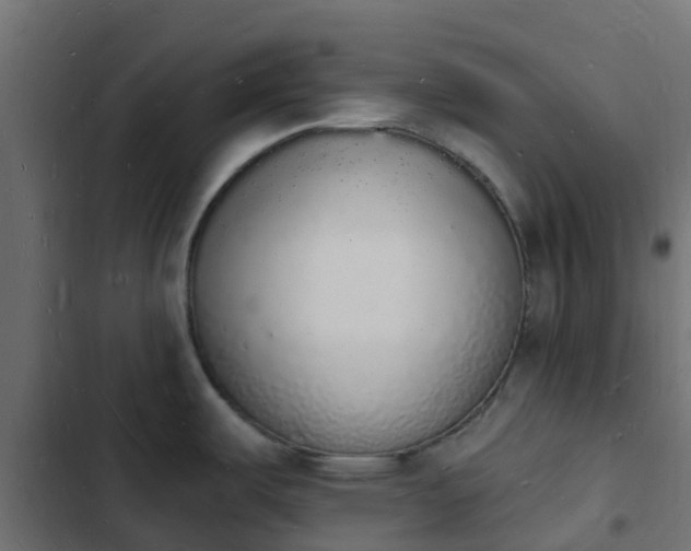 X0000103971487200809261823