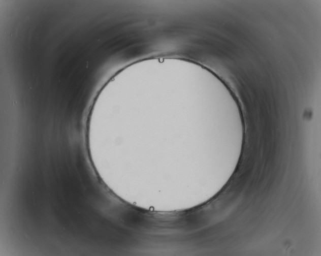 X0000103971488200809261823