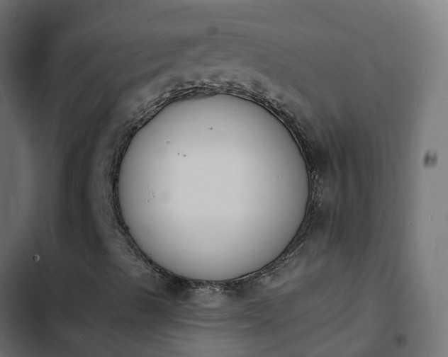 X0000103971489200809261822