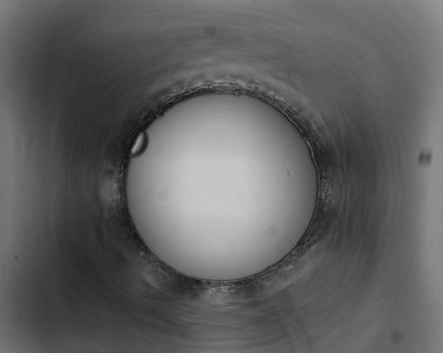 X0000103971490200809261822