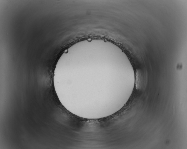 X0000103971491200809261822