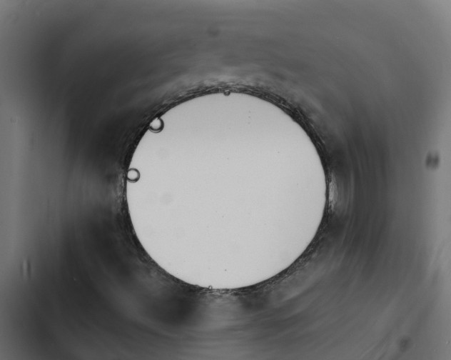 X0000103971492200809261822