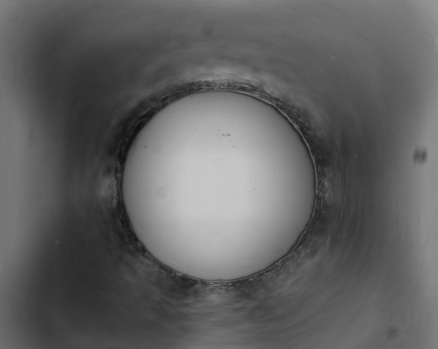 X0000103971493200809261822