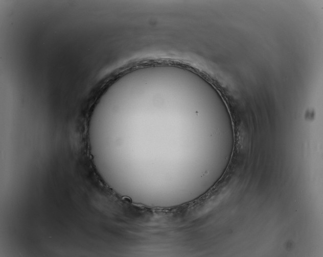 X0000103971494200809261822