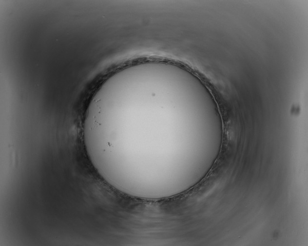 X0000103971495200809261822