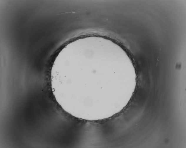 X0000103971496200809261822