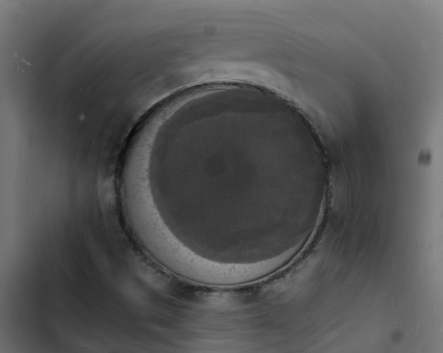 X0000103971497200809261822