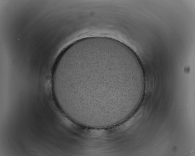 X0000103971498200809261822