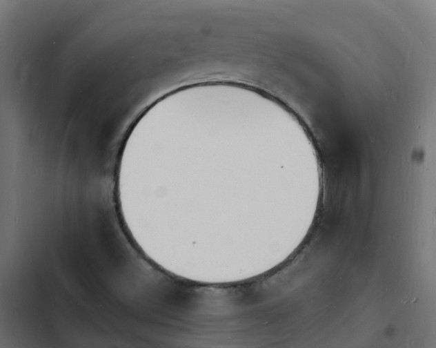 X0000103971500200809261822