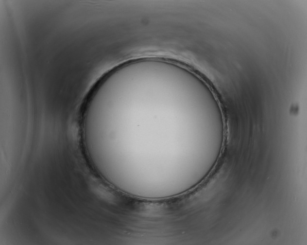 X0000103971501200809261822