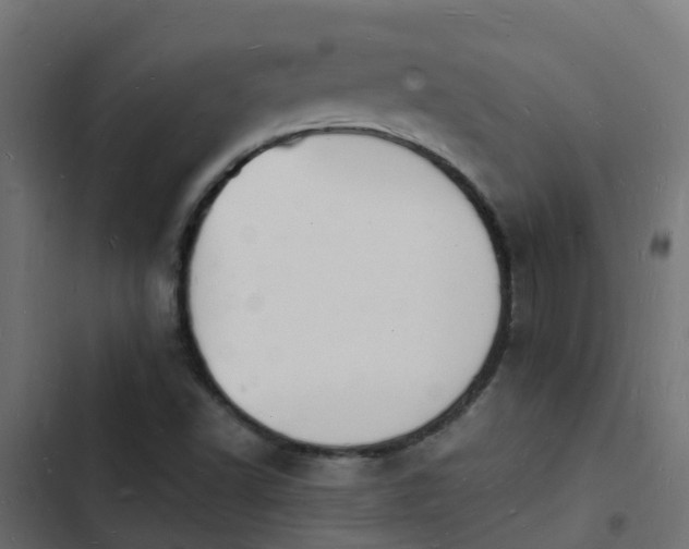 X0000103971502200809261822