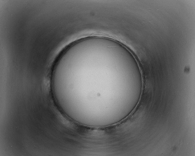 X0000103971503200809261822