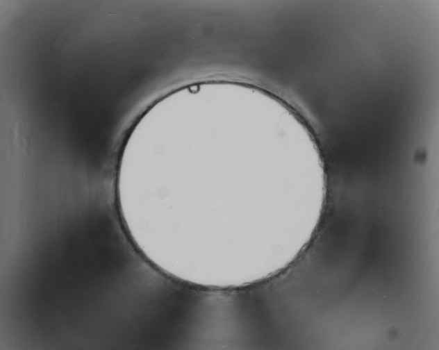 X0000103971504200809261822