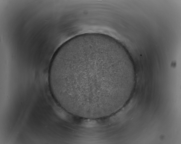 X0000103971505200809261822