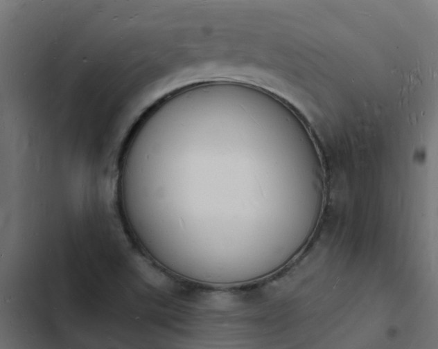 X0000103971507200809261822