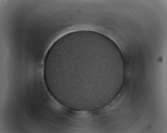 X0000103971508200809261822