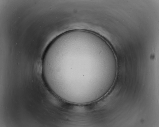 X0000103971509200809261822