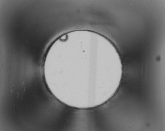 X0000103971510200809261822