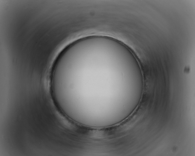 X0000103971511200809261822