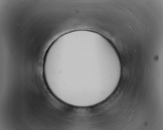 X0000103971512200809261822