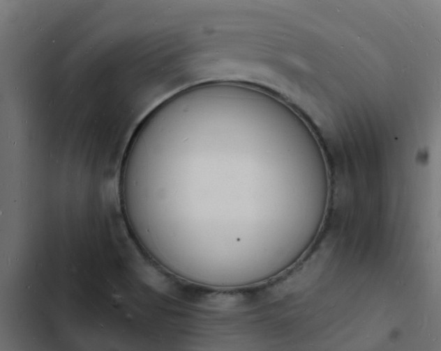 X0000103971513200809261822