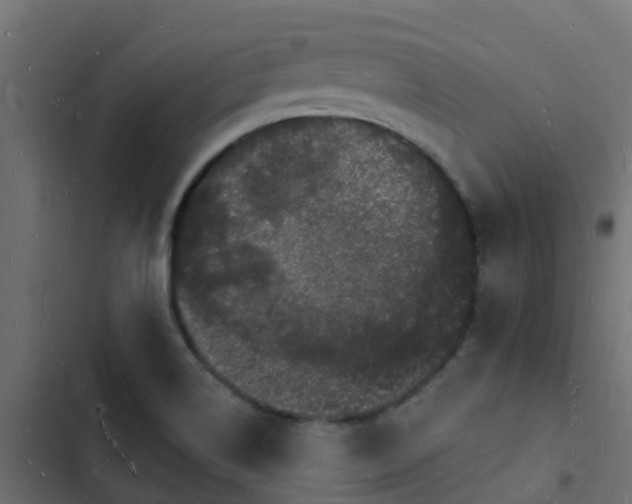 X0000103971514200809261822