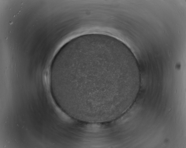 X0000103971515200809261822