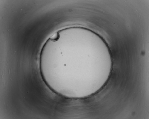 X0000103971516200809261822