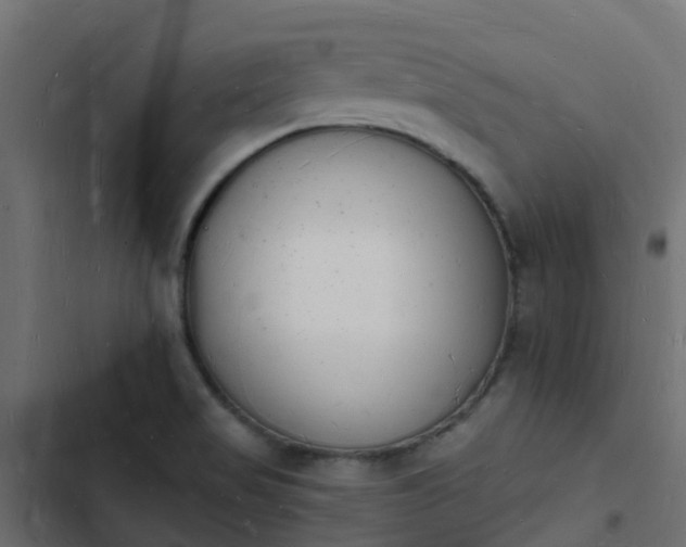 X0000103971517200809261822