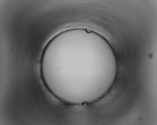 X0000103971518200809261822