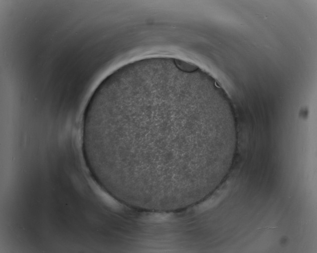 X0000103971519200809261822