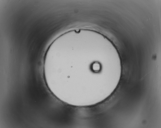 X0000103971520200809261822