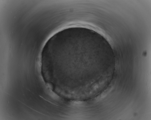 X0000103971522200809261822