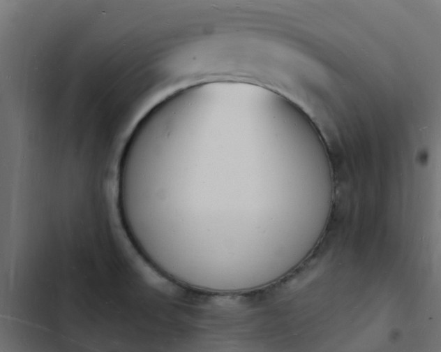 X0000103971523200809261822