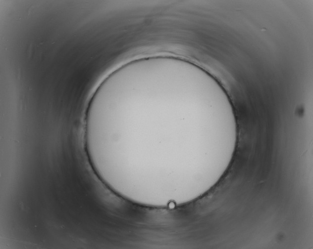 X0000103971524200809261822