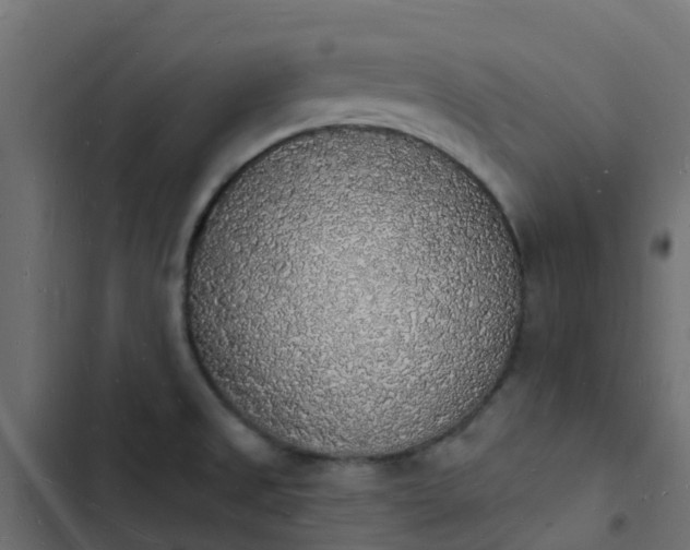 X0000103971525200809261822