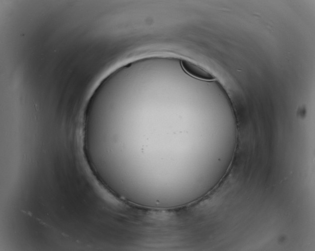 X0000103971526200809261822