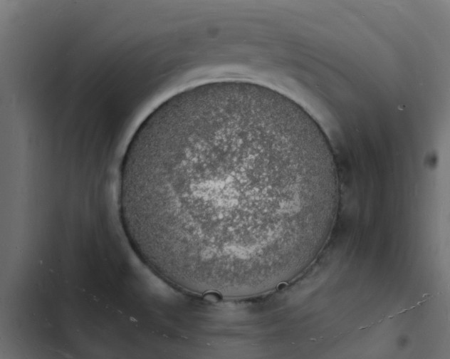 X0000103971527200809261822