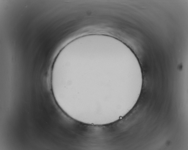 X0000103971528200809261822