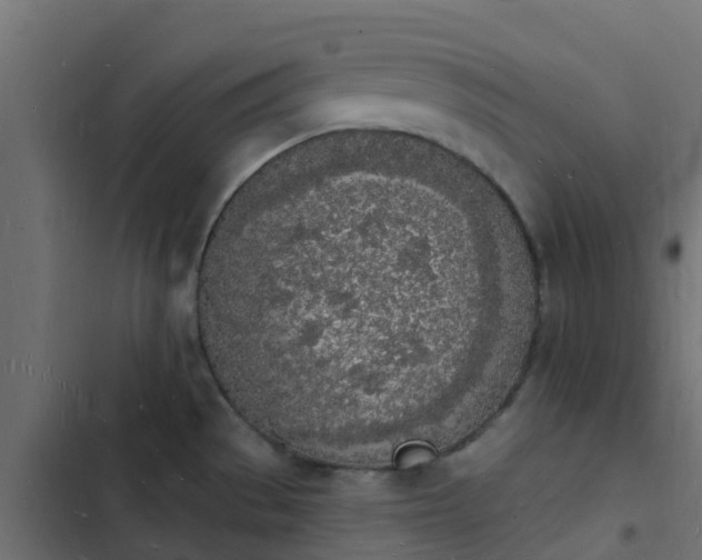 X0000103971529200809261822