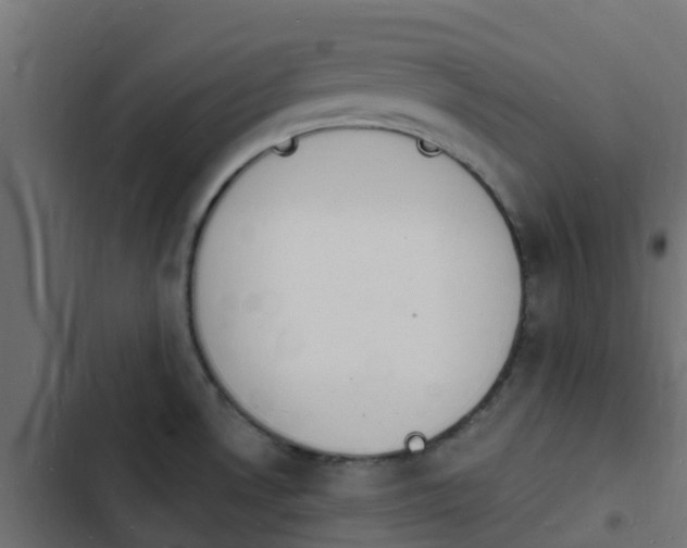 X0000103971530200809261822